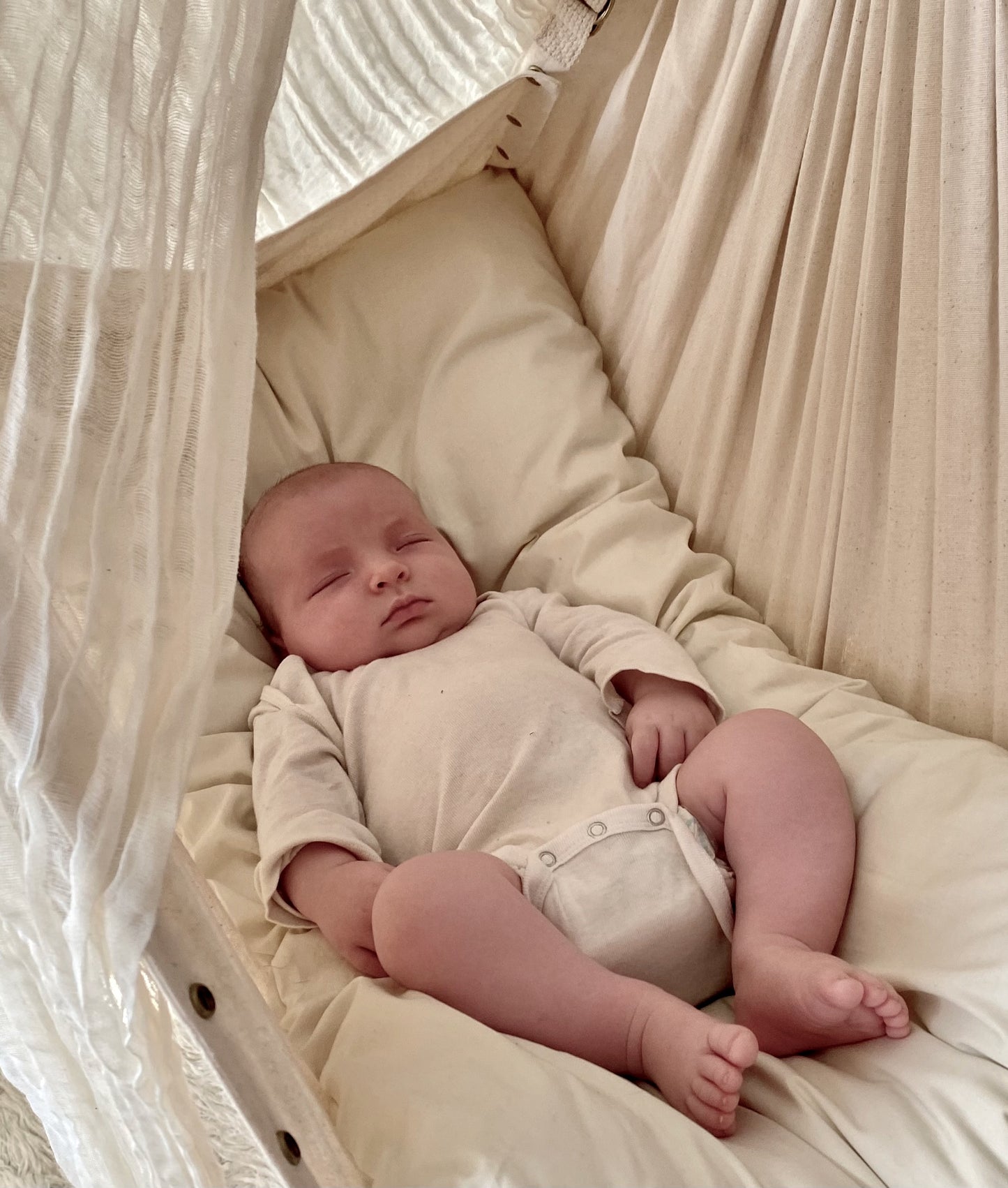 Coral Baby Hammock : Hardware Included